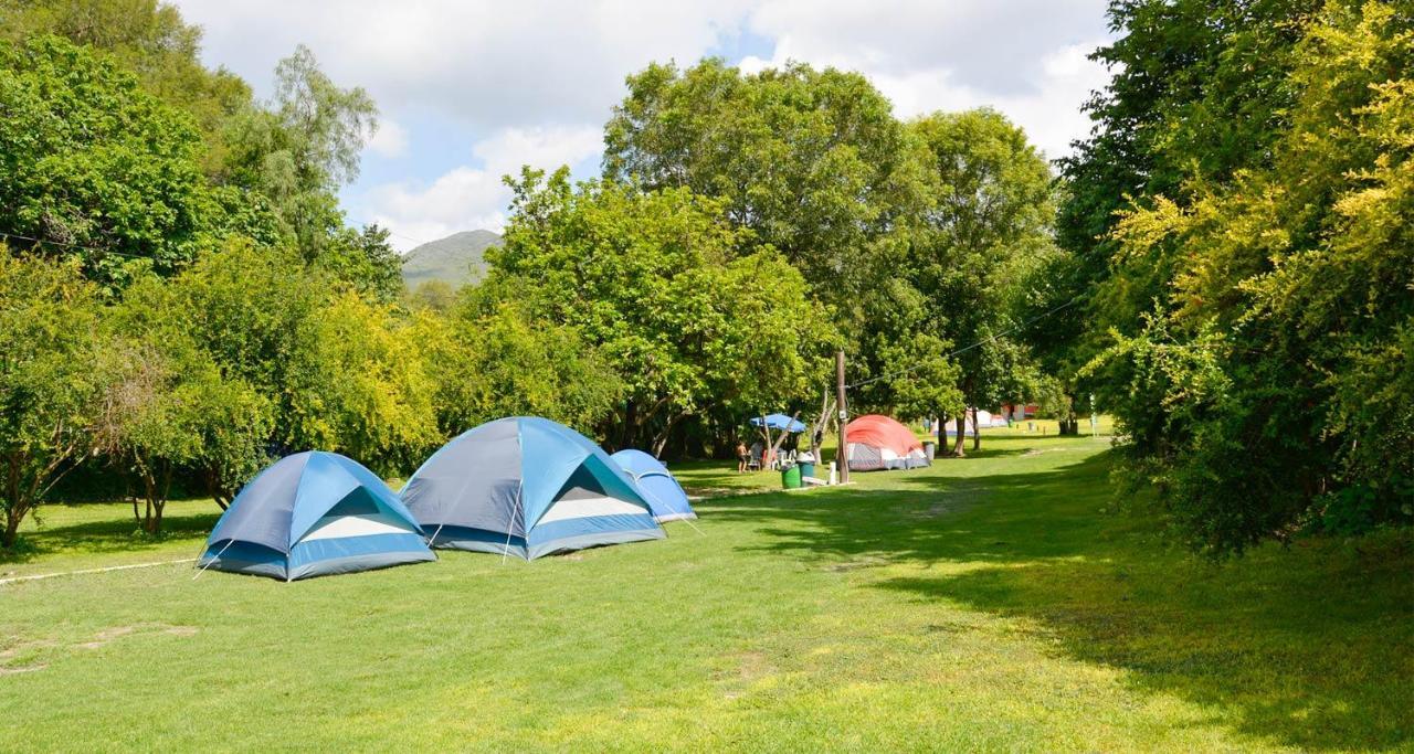Гостьовий будинок Hospedaje Y Zona De Camping Pistacho Вілья-де-Лейва Екстер'єр фото