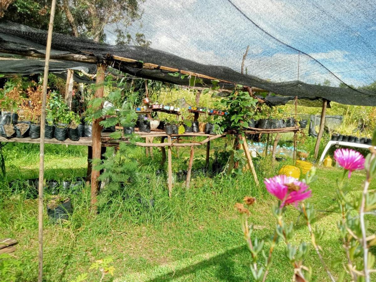 Гостьовий будинок Hospedaje Y Zona De Camping Pistacho Вілья-де-Лейва Екстер'єр фото
