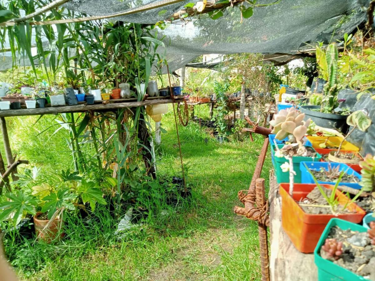 Гостьовий будинок Hospedaje Y Zona De Camping Pistacho Вілья-де-Лейва Екстер'єр фото